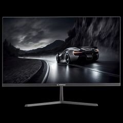 RAMPAGE 25 Rm25R100 IPS FHD PC FLAT 100Hz 1ms HDMI+DP Oyuncu Monitör