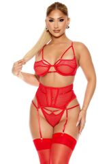 Scarlest Fantezi File Tül Detaylı Kırmızı Jartiyer  Takım